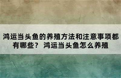 鸿运当头鱼的养殖方法和注意事项都有哪些？ 鸿运当头鱼怎么养殖